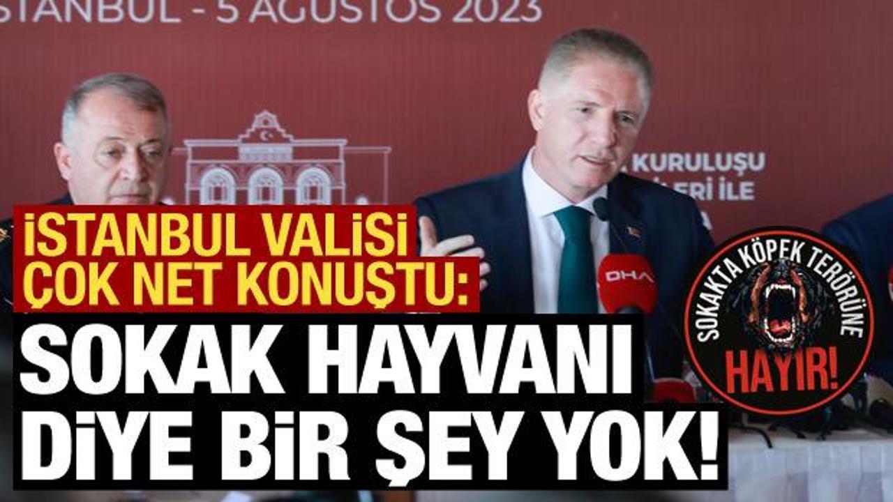 İstanbul Valisi G&uuml;l'den net a&ccedil;ıklama: Sokak hayvanı diye bir şey yoktur!