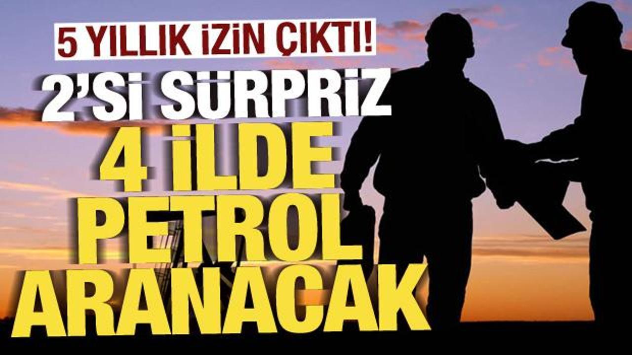 2'si s&uuml;rpriz 4 ilde petrol aranacak
