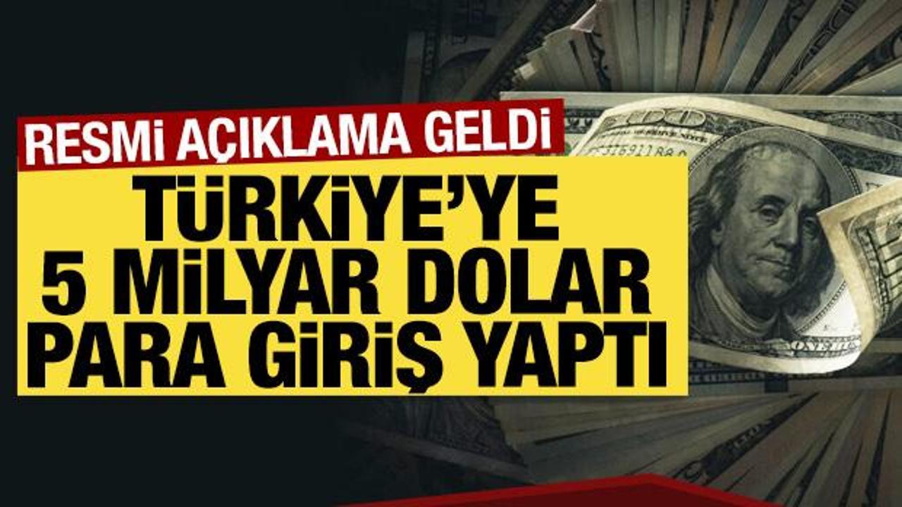 A&ccedil;ıklama geldi: T&uuml;rkiye'ye 5 milyar dolar para girdi