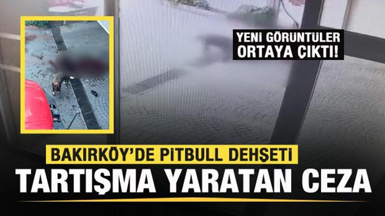 Bakırköy'deki Pitbull saldırısı: Sahipleri yakalandı ve ceza kesildi