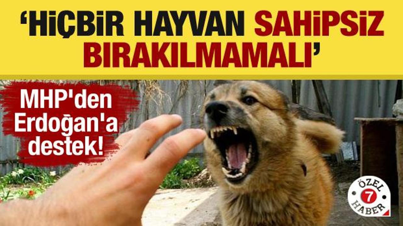 MHP'den Erdoğan'a destek! "Hiçbir hayvan sahipsiz bırakılmamalı"