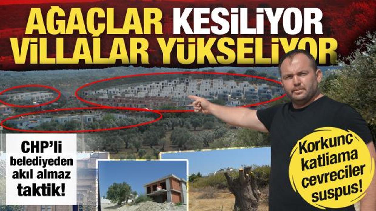 G&ouml;me&ccedil;'te &ccedil;evre katliamı: CHP'nin izniyle zeytinlikler yok oluyor, villalar y&uuml;kseliyor!