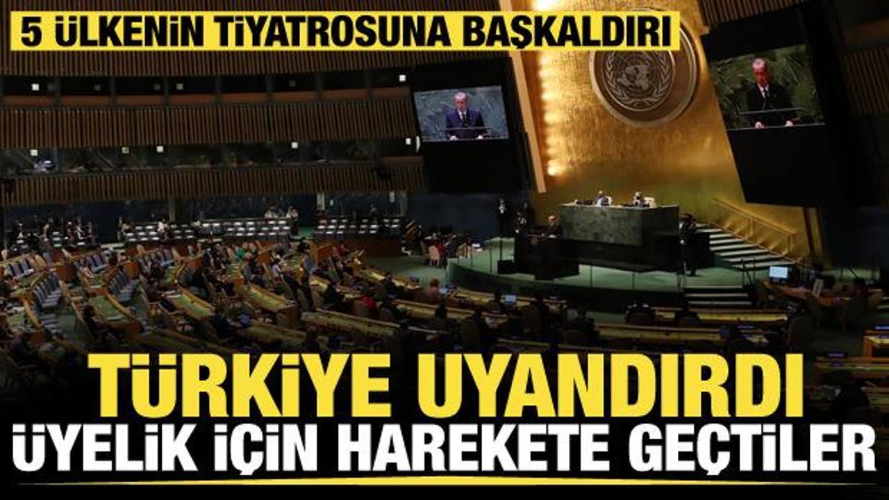 BMGK'de 5 üye ve veto krizi! Erdoğan'ın reform çağrısı diğer ülkeleri de harekete geçirdi