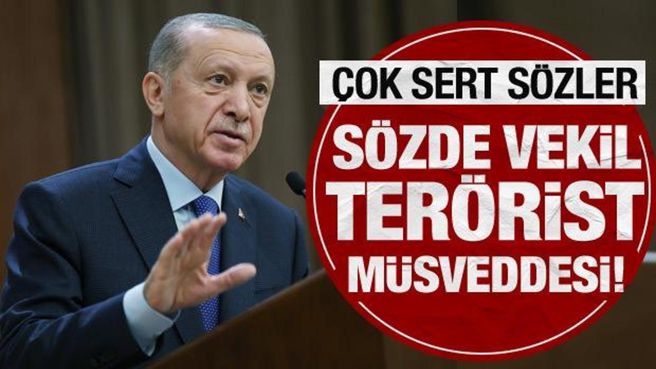 Cumhurbaşkanı Erdoğan'dan CHP'li Tanrıkulu'na sert tepki: Terörist müsveddesi!