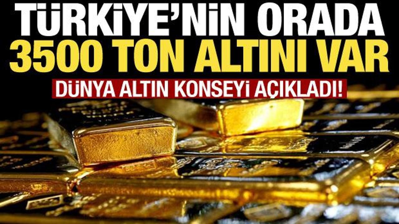 Dünya Altın Konseyi duyurdu: Türkiye'nin 3500 ton altını var