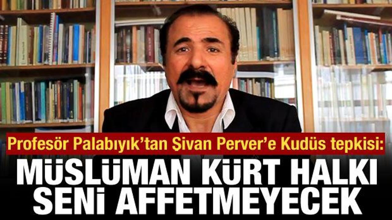 Profes&ouml;r Palabıyık'tan sert tepki: M&uuml;sl&uuml;man K&uuml;rt halkı Şivan Perver'i affetmeyecek