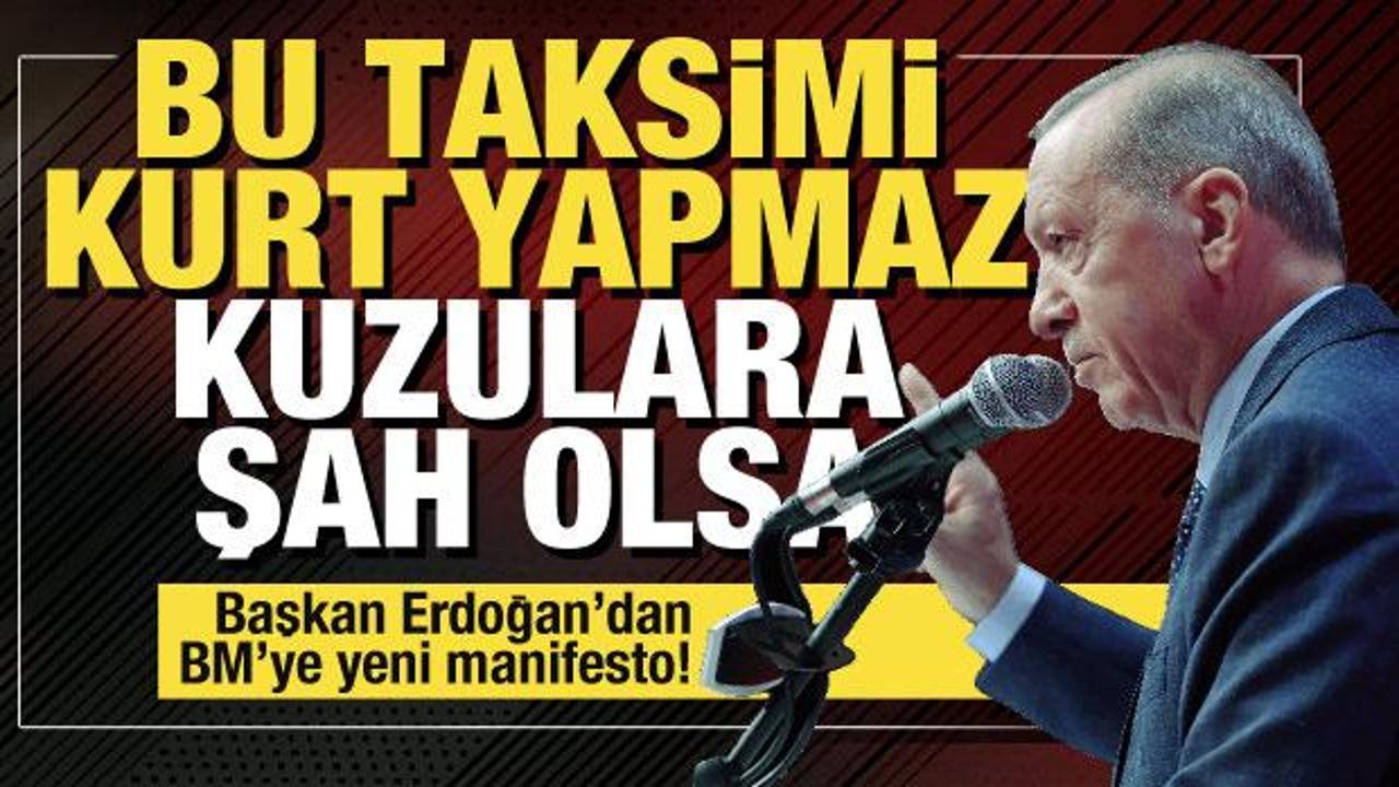 Başkan Erdoğan'dan BM'ye Gazze tepkisi: Bu taksimi kurt yapmaz, kuzulara şah olsa