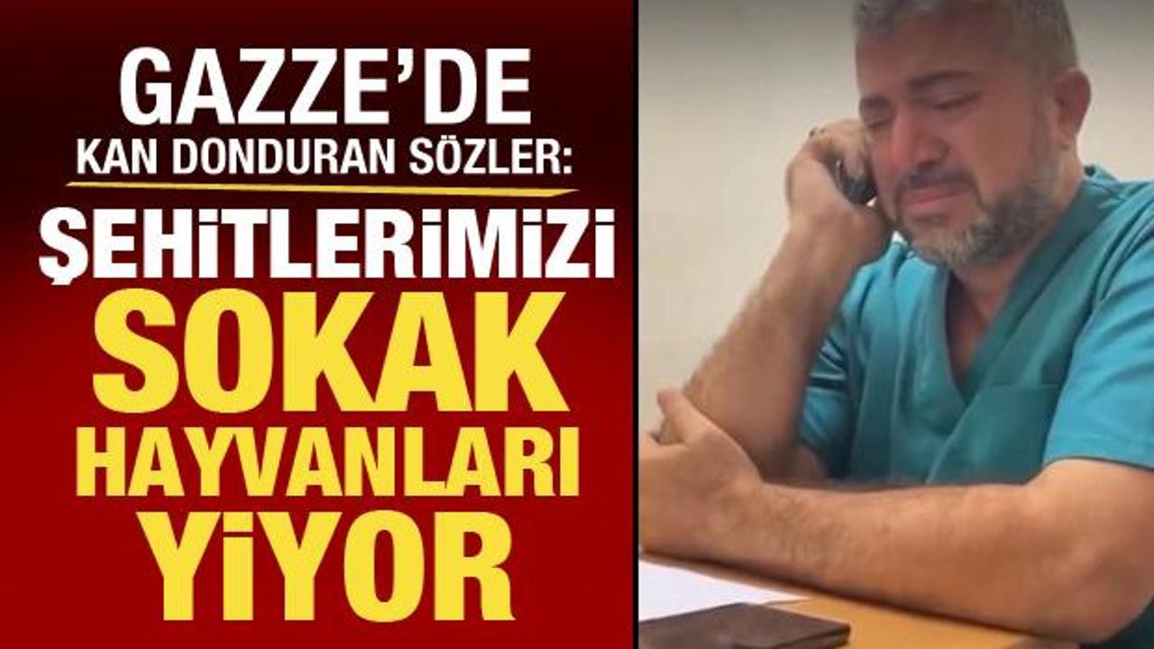 Gazze Sağlık Bakanlığı Genel M&uuml;d&uuml;r&uuml;: Şehitlerimizi sokak hayvanları yiyor