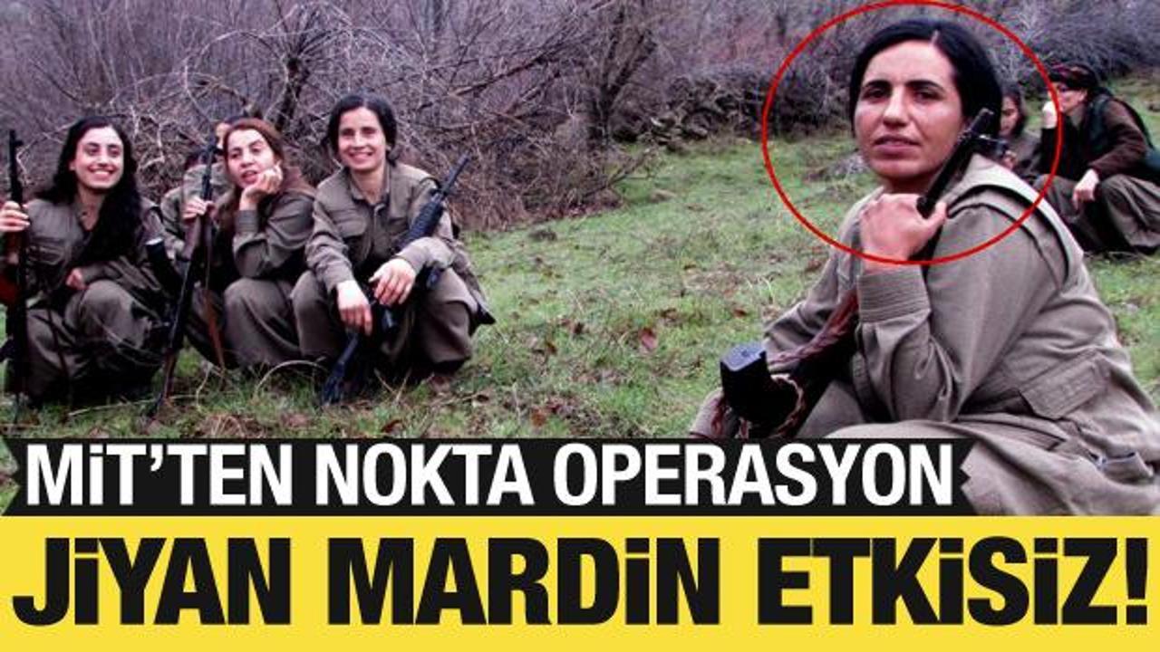 MİT, Jiyan Mardin'i etkisiz hale getirdi