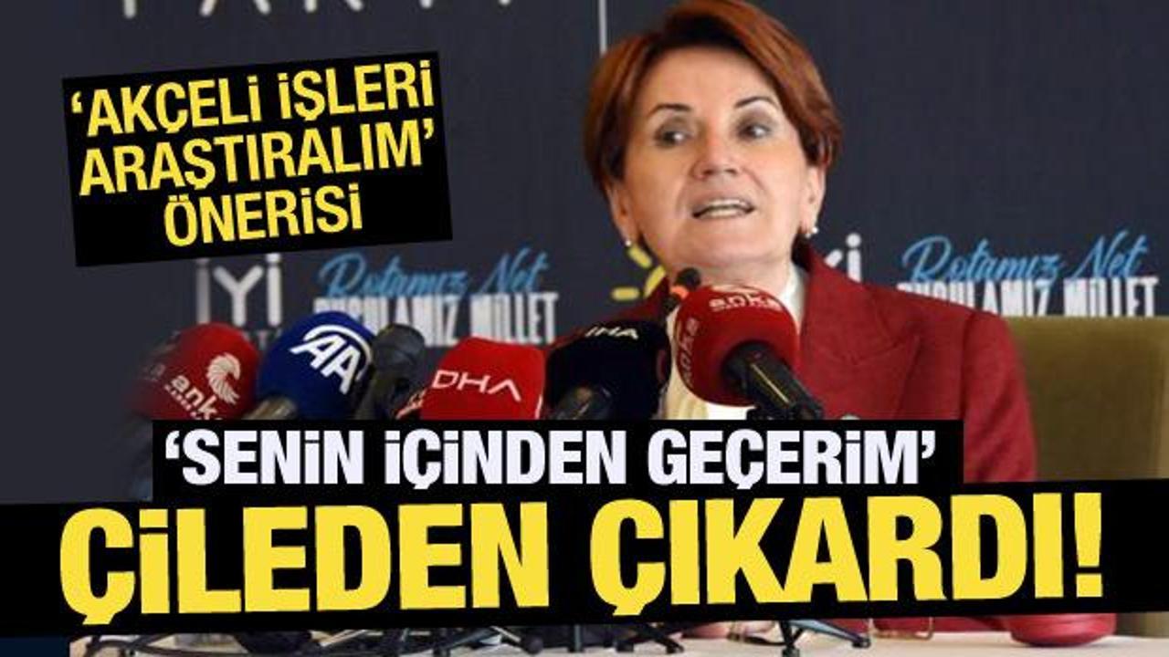 'Akçeli işleri araştıralım' önerisi Meral Akşener'i çileden çıkardı! 