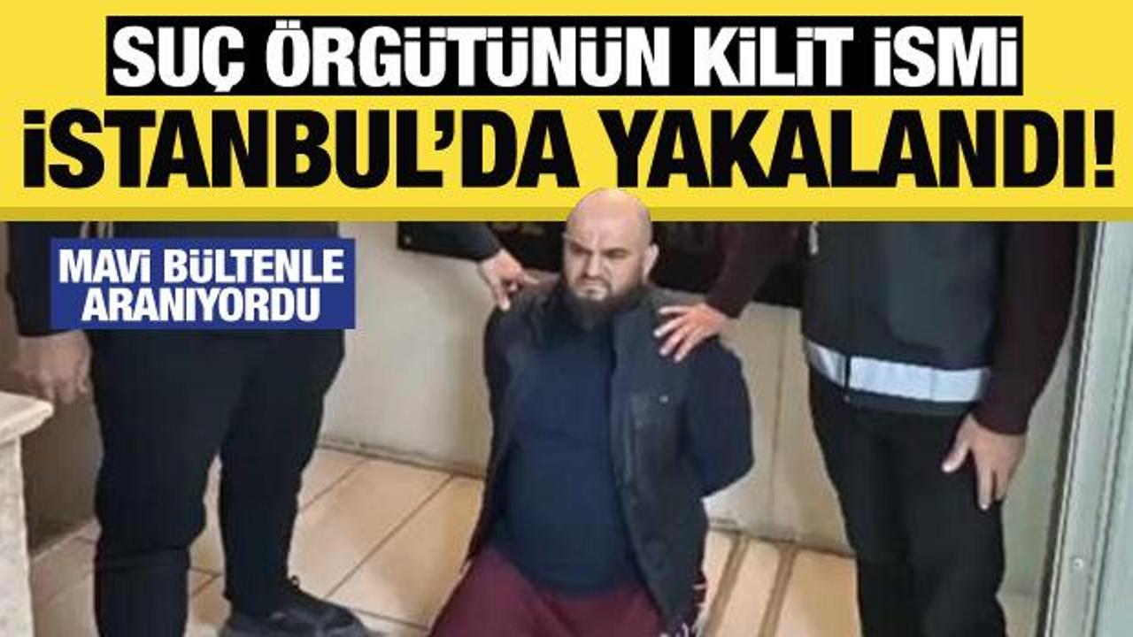 Mavi b&uuml;ltenle aranan organize su&ccedil; &ouml;rg&uuml;t&uuml; y&ouml;neticisi İstanbul'da yakalandı