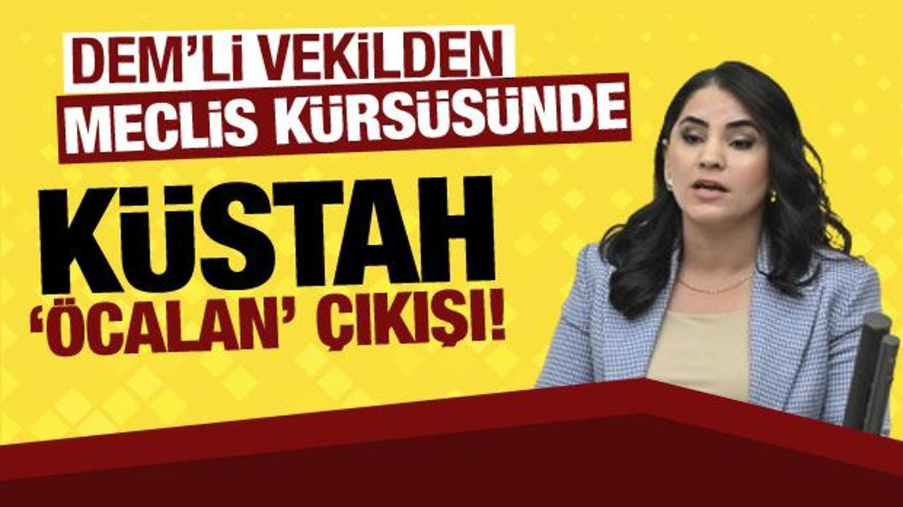 DEM Partili vekilden Meclis'te küstah sözler! "Öcalan'a özgürlük" istedi