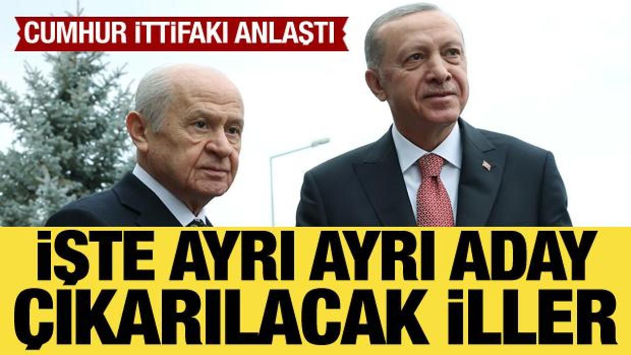 Cumhur İttifakı'nda ayrı ayrı aday çıkarılacak iller belirlendi