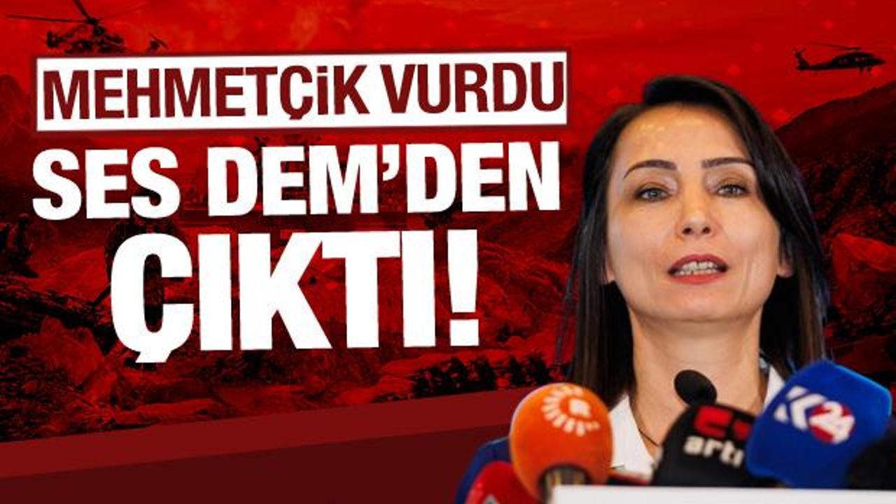 Mehmetçik vurdukça onların sesi yükseldi... DEM Parti: Operasyonları durdurun!
