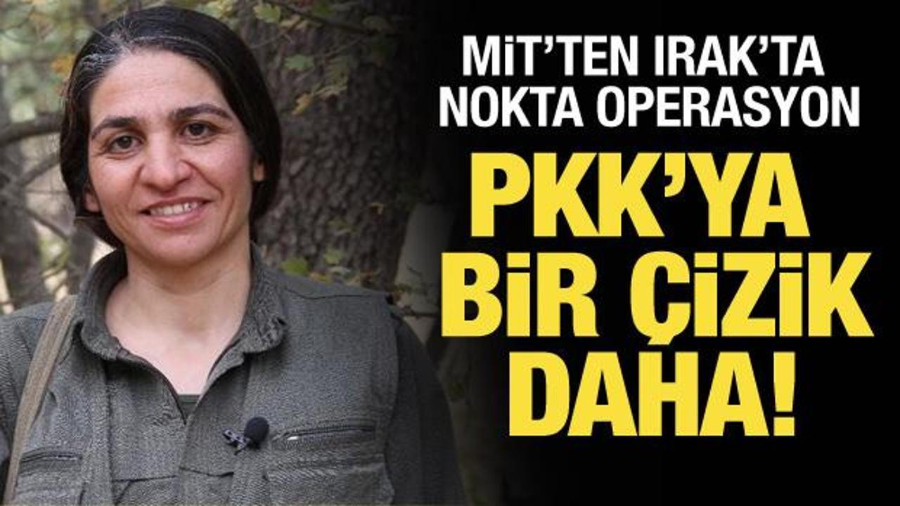 MİT, Zeynep Eyver'i etkisiz hale getirdi