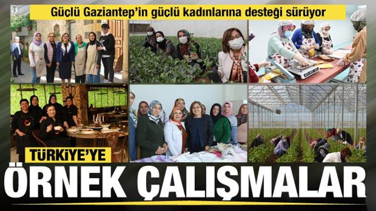 Gaziantep Büyükşehir, güçlü Gaziantep'in güçlü kadınlarına desteğini sürdürüyor