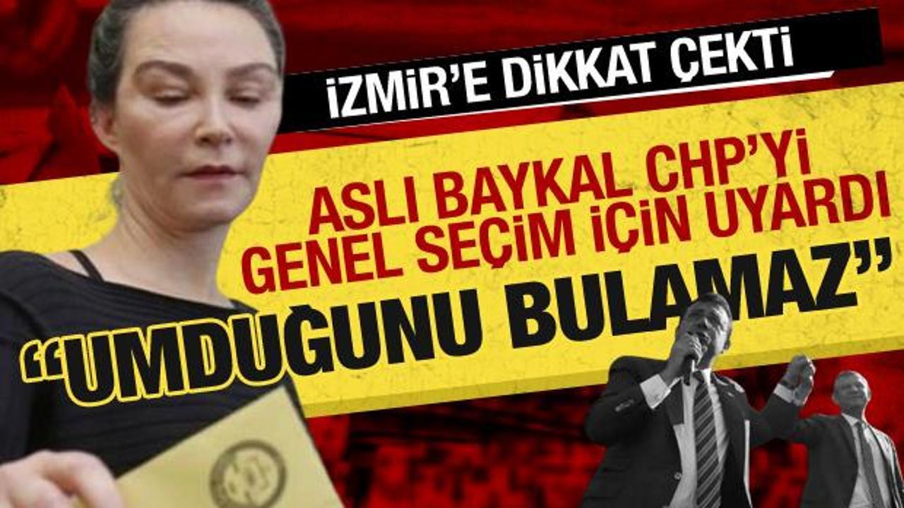 Aslı Baykal seçim sonuçlarında CHP'yi eleştirdi: Genel seçimde umduğunu bulamaz