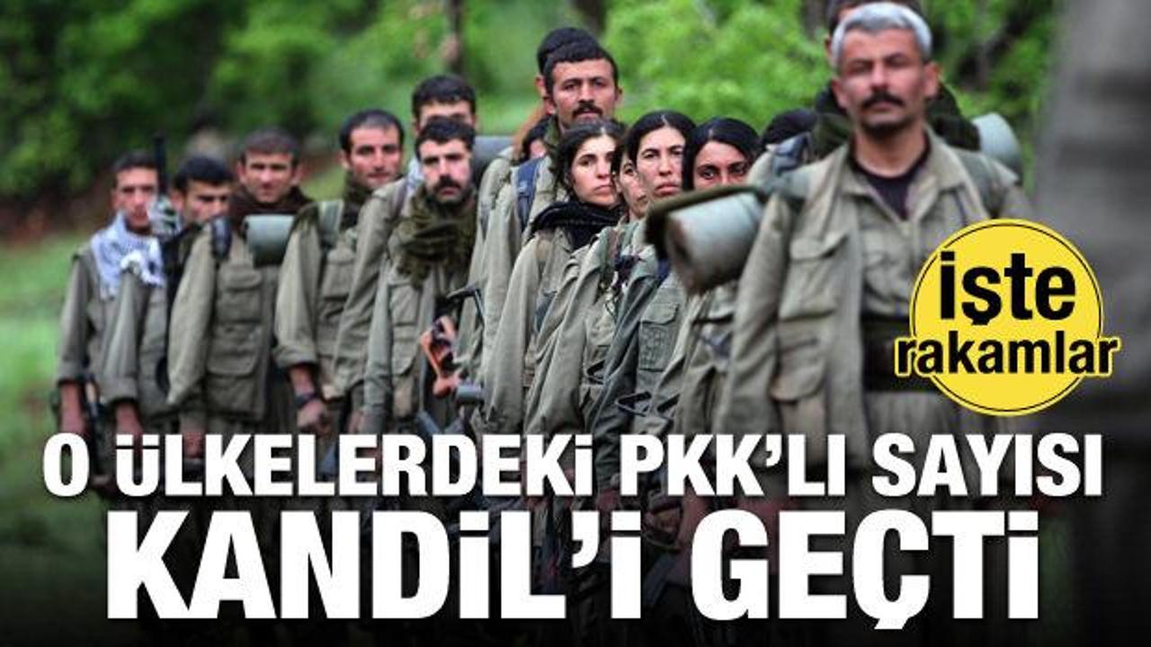 O &uuml;lkelerdeki PKK'lı sayıları Kandil'i ge&ccedil;ti! İşte rakamlar