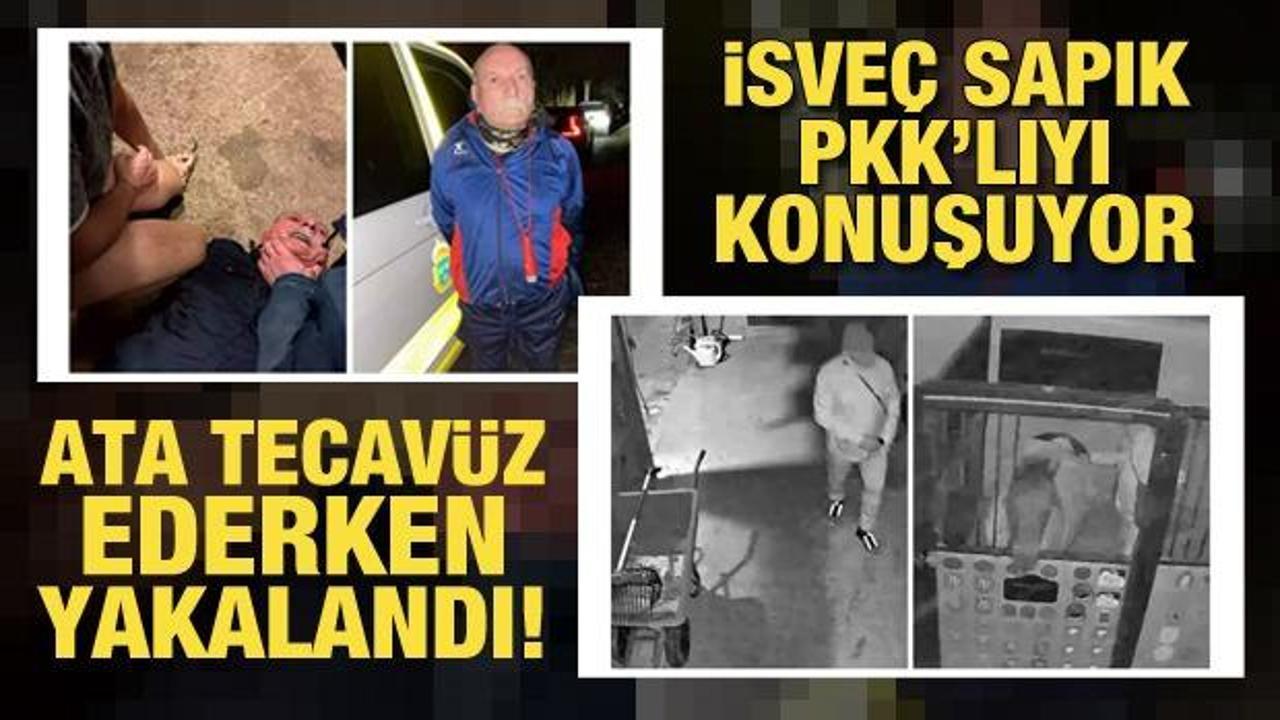 Ter&ouml;r &ouml;rg&uuml;t&uuml; PKK'nın s&ouml;zde Avrupa sorumlusu Senanik &Ouml;ner ata tecav&uuml;z etti