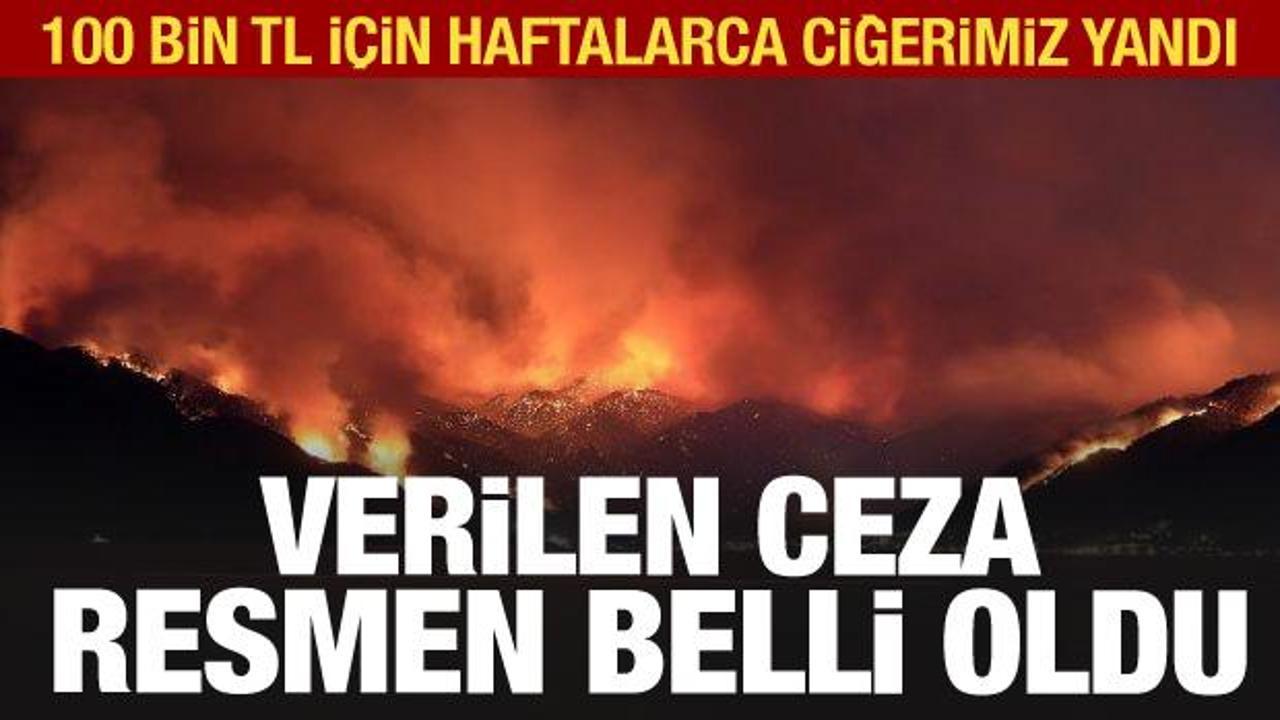 Bodrum'da ormanı yakan PKK'lı teröristin cezası belli oldu