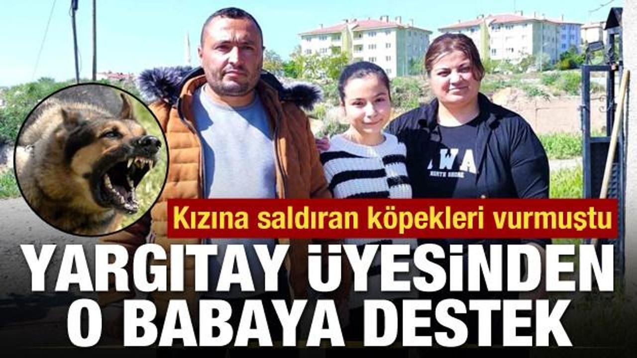 Yargıtay &uuml;yesinden kızına saldıran k&ouml;pekleri vuran babaya destek!