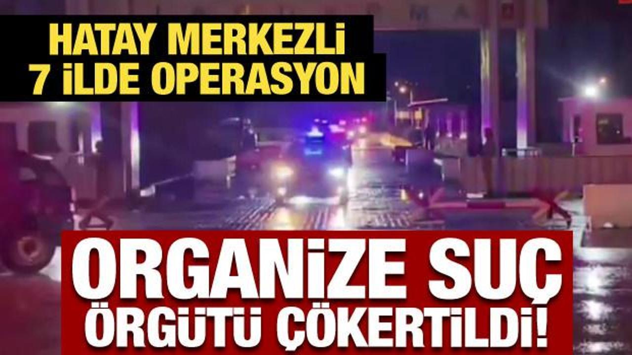 7 ilde operasyon: Organize suç örgütü çökertildi!