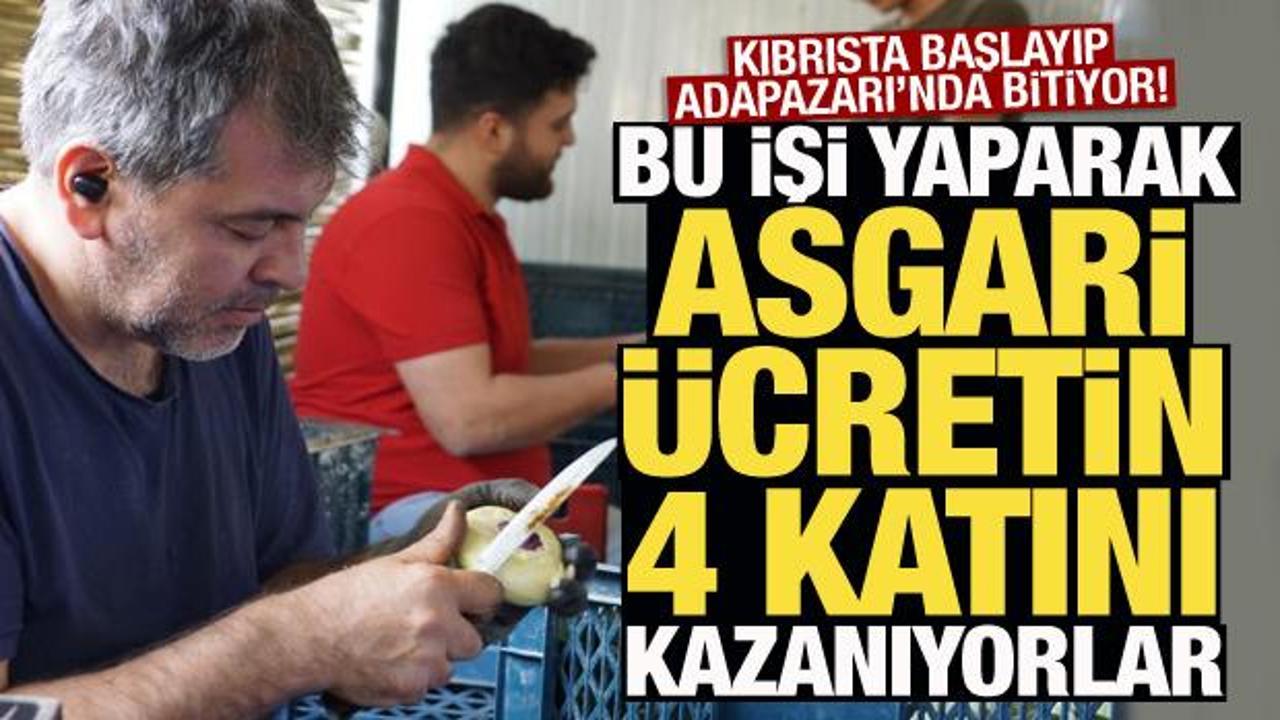 Enginar soyma ekibi: Asgari &uuml;cretin 4 katını kazanıyorlar