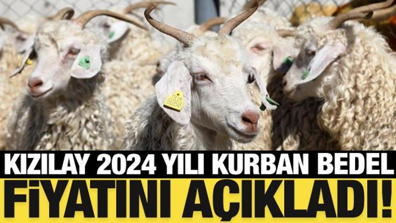 Kızılay 2024 yılı kurban bedel fiyatını a&ccedil;ıkladı!