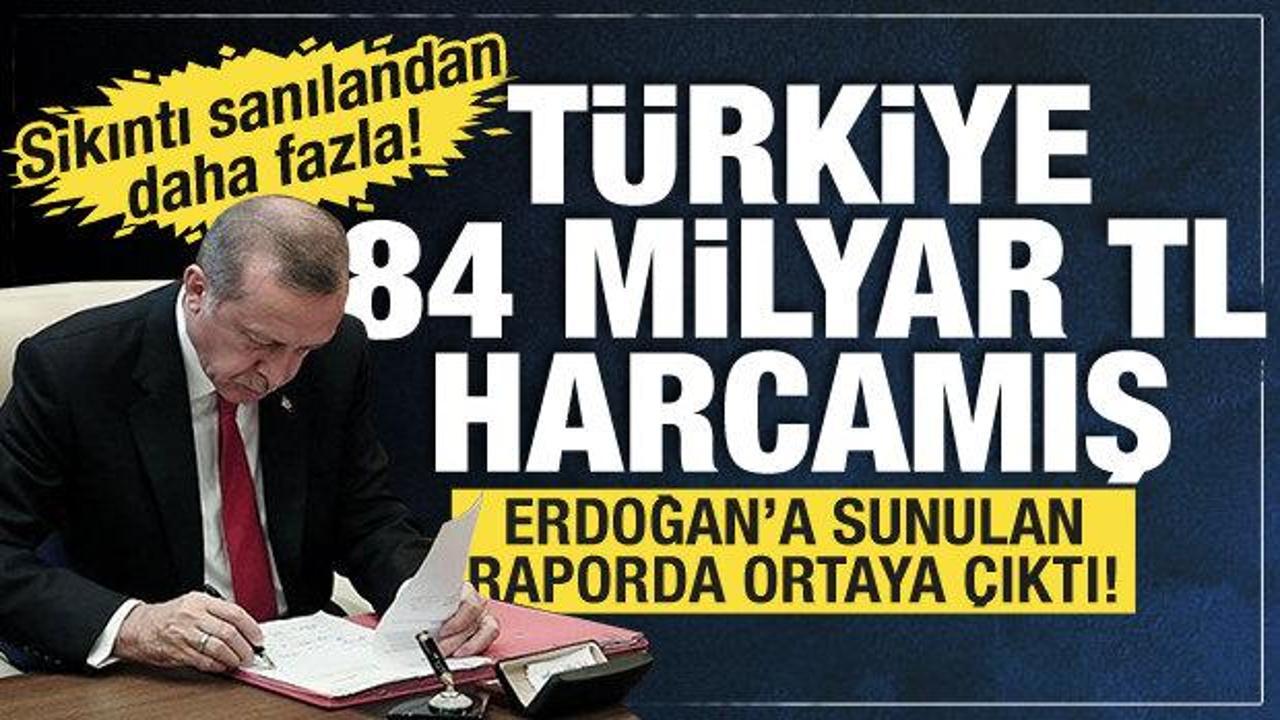 Cumhurbaşkanı Erdoğan'a sunulan başıboş sokak köpeği raporunda çarpıcı detaylar