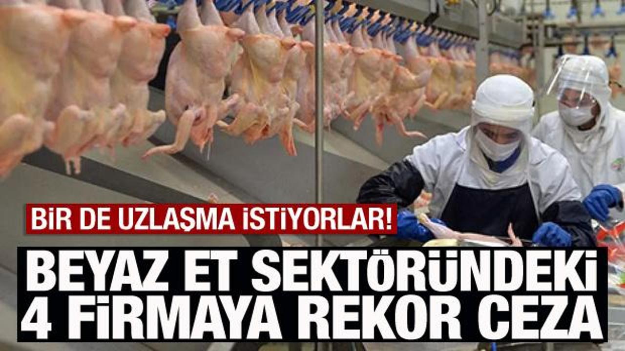 Beyaz et sektöründeki 4 firmaya rekor ceza