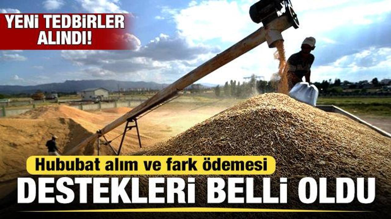 Hububat alım fiyatları ve fark ödemesi destekleri belli oldu! Yeni tedbirler alındı