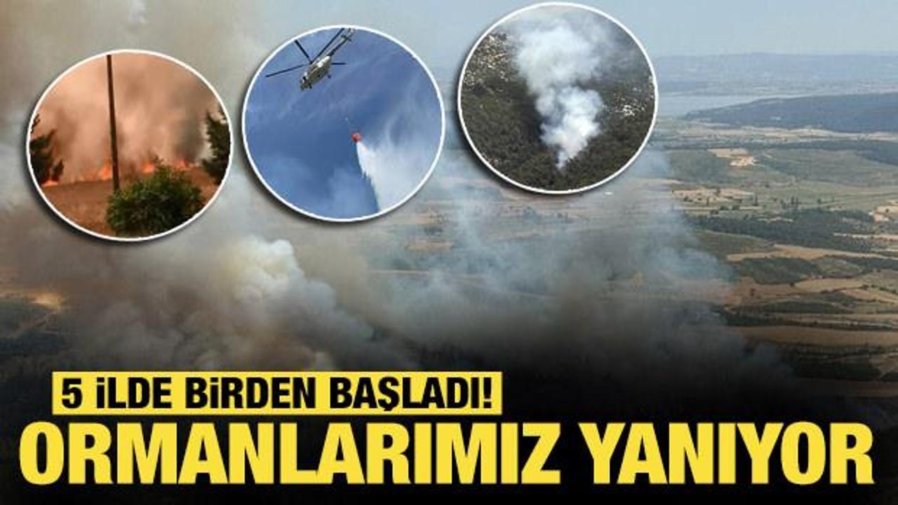 5 ilde birden başladı! Ormanlarımız yanıyor...