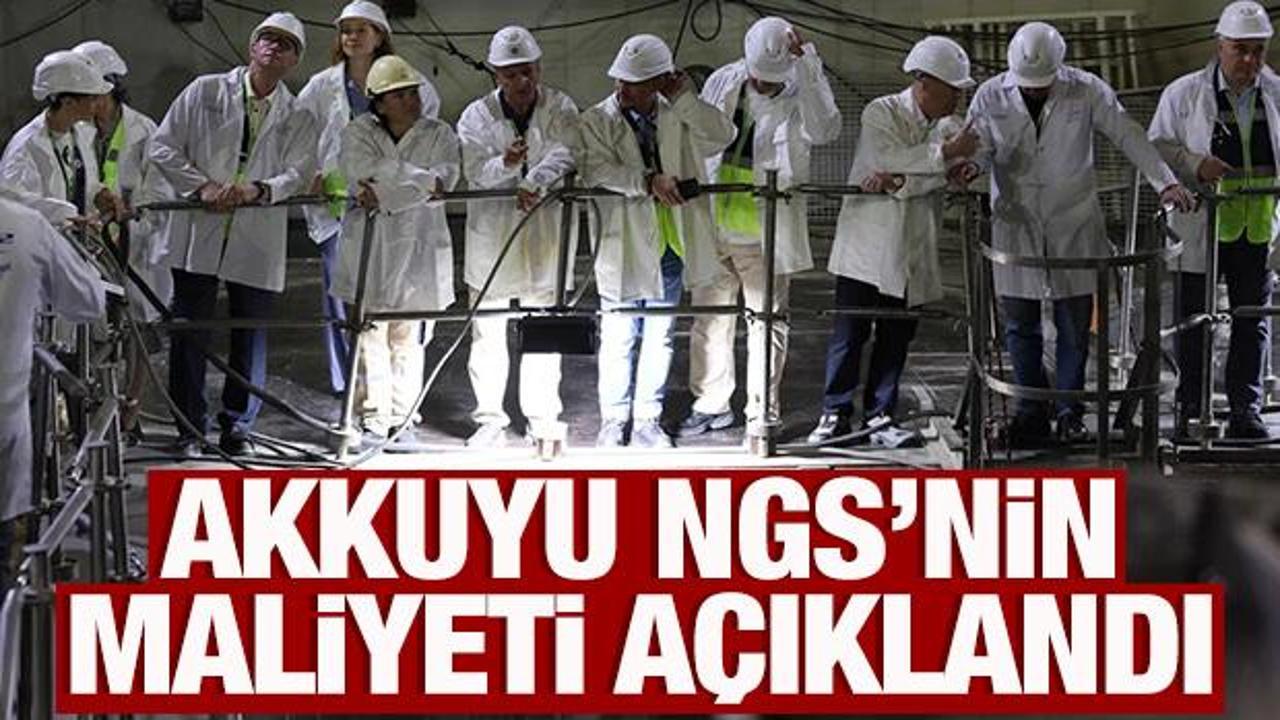 Rusya, Akkuyu NGS'nin maliyetini a&ccedil;ıkladı