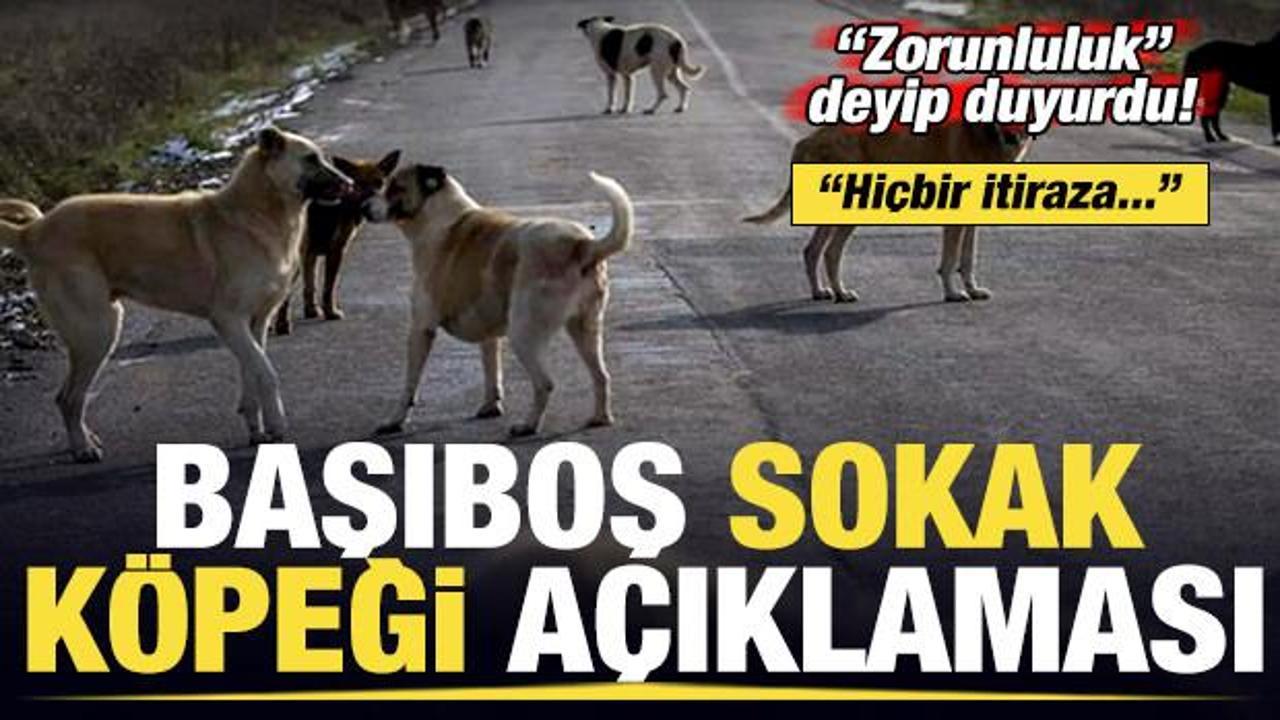 Bakan Koca'dan son dakika başıboş sokak k&ouml;peği a&ccedil;ıklaması! 'Zorunluluk' deyip duyurdu