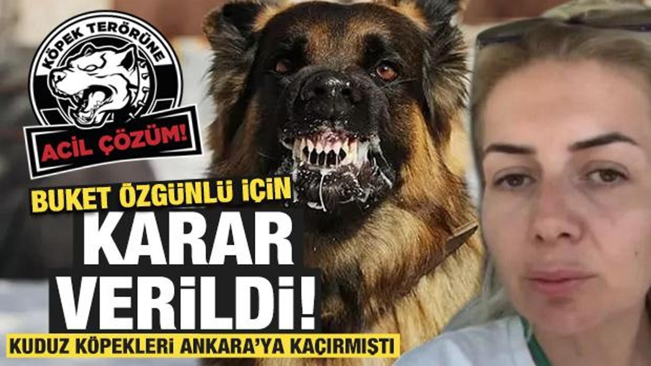 Şanlıurfa'dan Ankara'ya kuduz köpekleri getiren bir kişi tutuklandı
