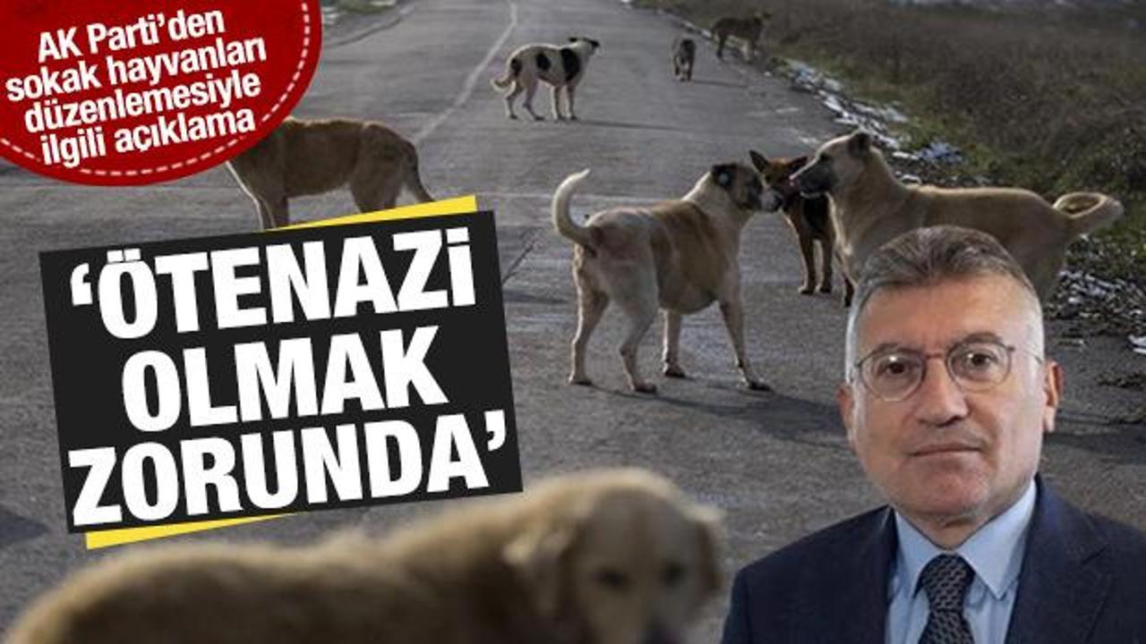 AK Parti'den sokak hayvanları düzenlemesiyle ilgili yeni açıklama: Ötenazi olmak zorunda