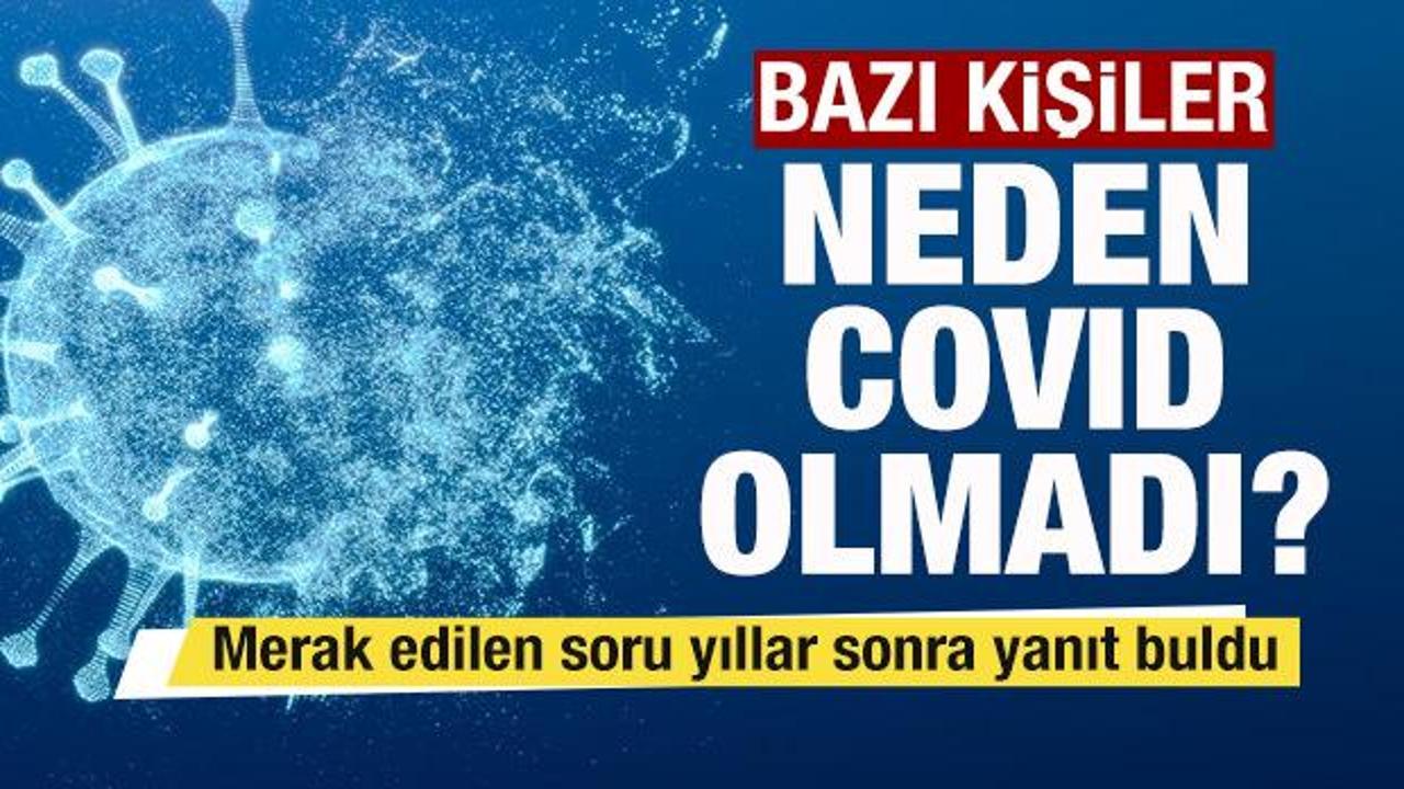 Bazı kişiler neden COVID olmadı? Nedeni bulundu