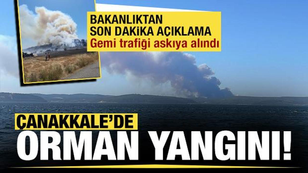 Çanakkale'de orman yangını: Gemi trafiği geçici olarak askıya alındı!