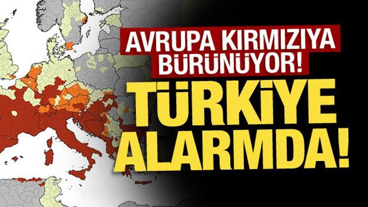 Kaplan sivrisineği kapımıza dayandı! Türkiye'ye gelmesi an meselesi 