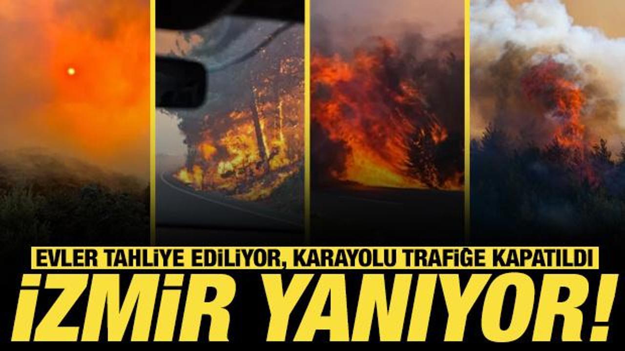 İzmir’in birçok ilçesinde yangın! Alevler büyüdü