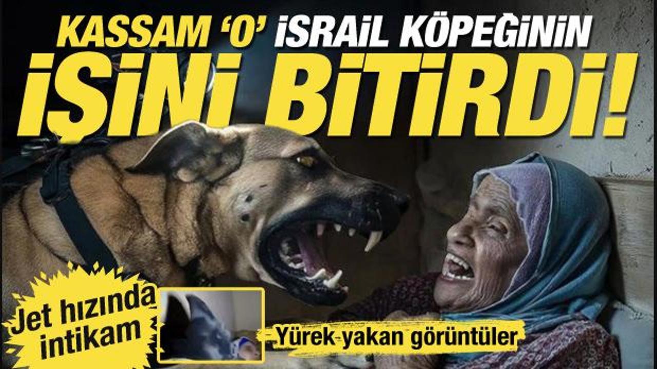 Kassam işini bitirdi! Filistinli yaşlı kadına saldıran İsrail ordusunun köpeği vuruldu