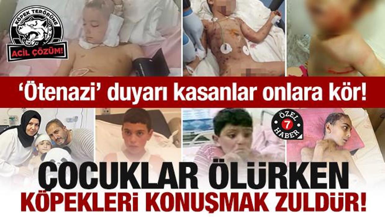 'Ötenazi' duyarı kasanlar onlara kör! Çocuklar ölürken köpekleri konuşmak zuldür!