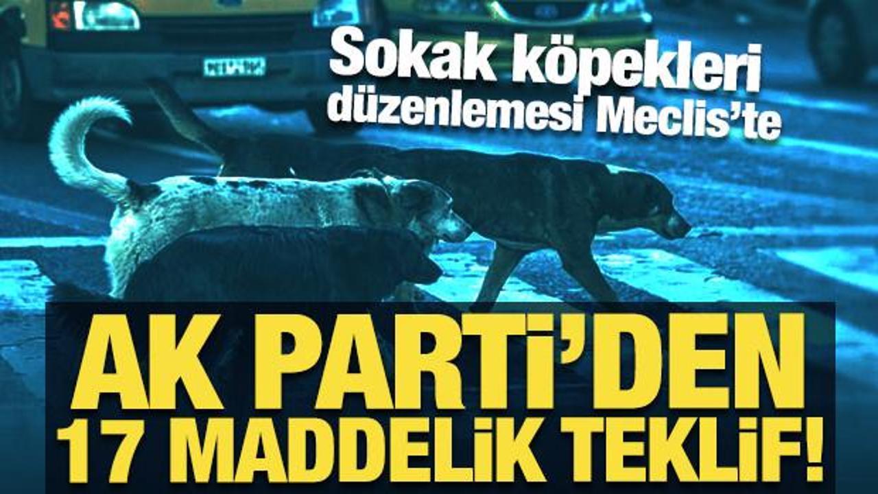 Sokak k&ouml;pekleri d&uuml;zenlemesi Meclis'te: AK Parti'den 17 maddelik teklif!