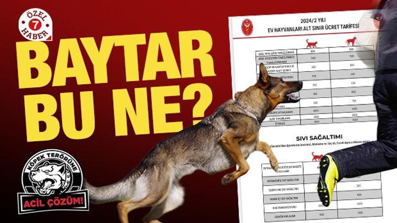 Baytar bu ne? 'Ötenazi' fiyatı belirleyen TVHB'den ikiyüzlü tavır!