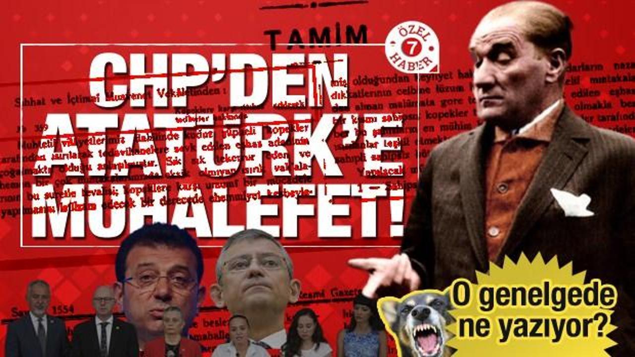 CHP'den Atatürk’e muhalefet! Atatürk hükümeti başıboş köpeklere ne yapmıştı?