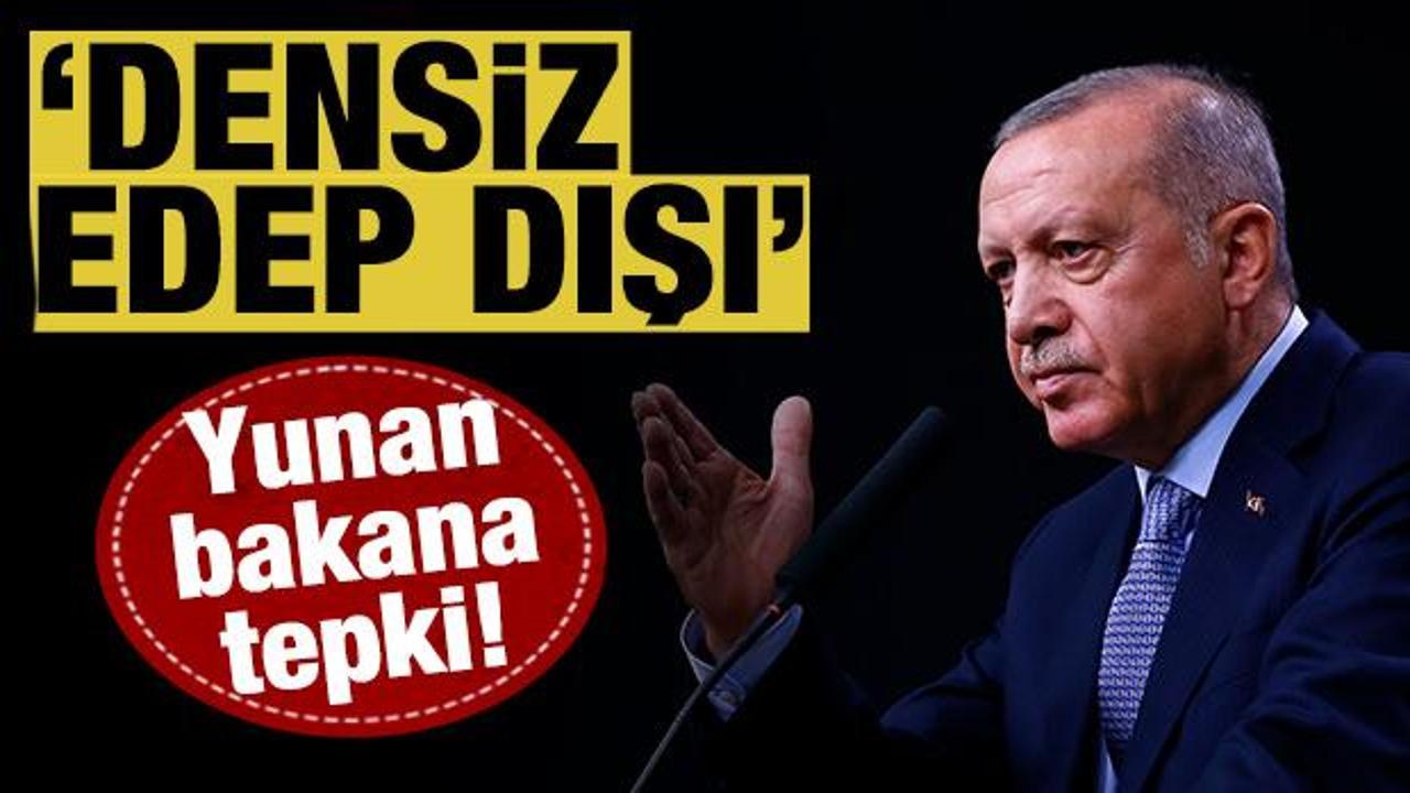 Cumhurbaşkanı Erdoğan'dan Yunan bakana sert tepki: 'Densiz, edep dışı...'