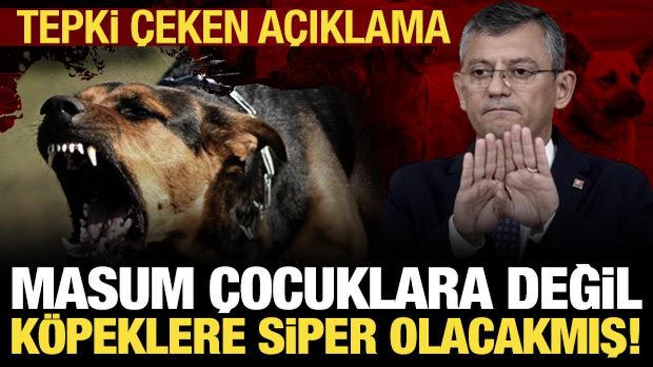 Özgür Özel'den 'başıboş köpek' çıkışı: Gerekirse siper oluruz