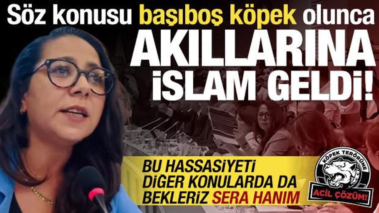 TİP'li Sera Kadigil başıboş köpek söz konusu olunca İslam'ı hatırladı