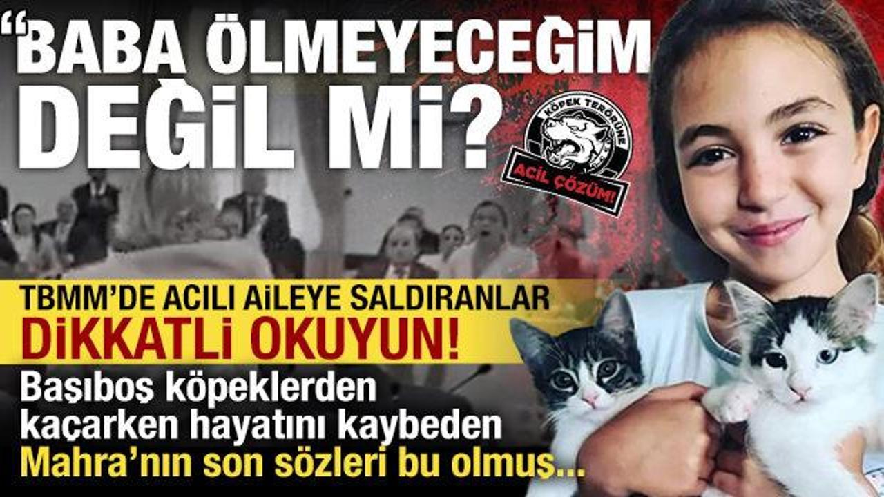 Başıboş köpeklerden kaçarken hayatını kaybeden kızının son sözlerini söyledi