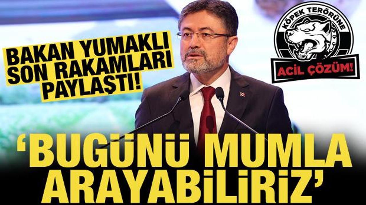 Bakan Yumaklı: Köpek popülasyonunun artması sosyal hayatı etkiliyor